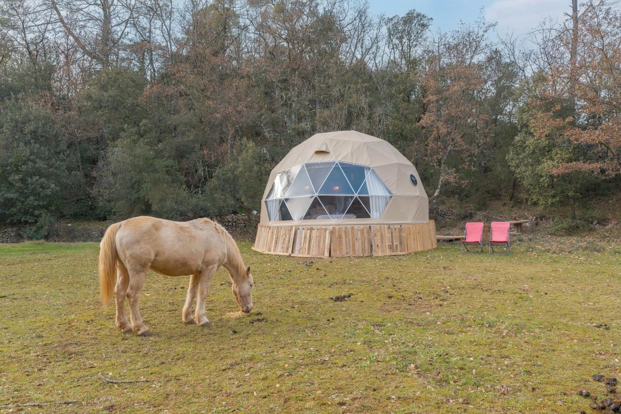 La Cabane Aux Chevaux Varages Ngoại thất bức ảnh