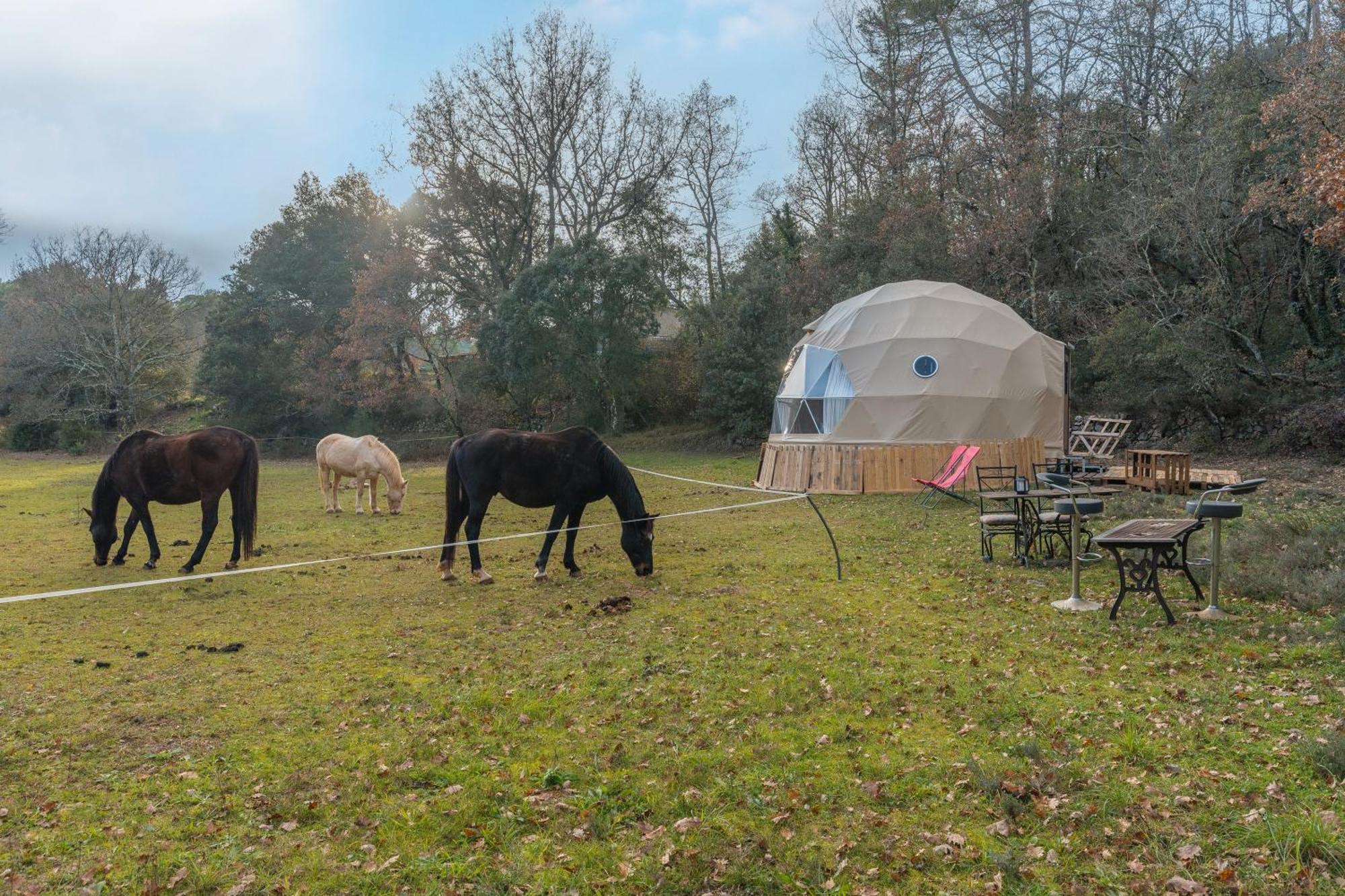 La Cabane Aux Chevaux Varages Ngoại thất bức ảnh