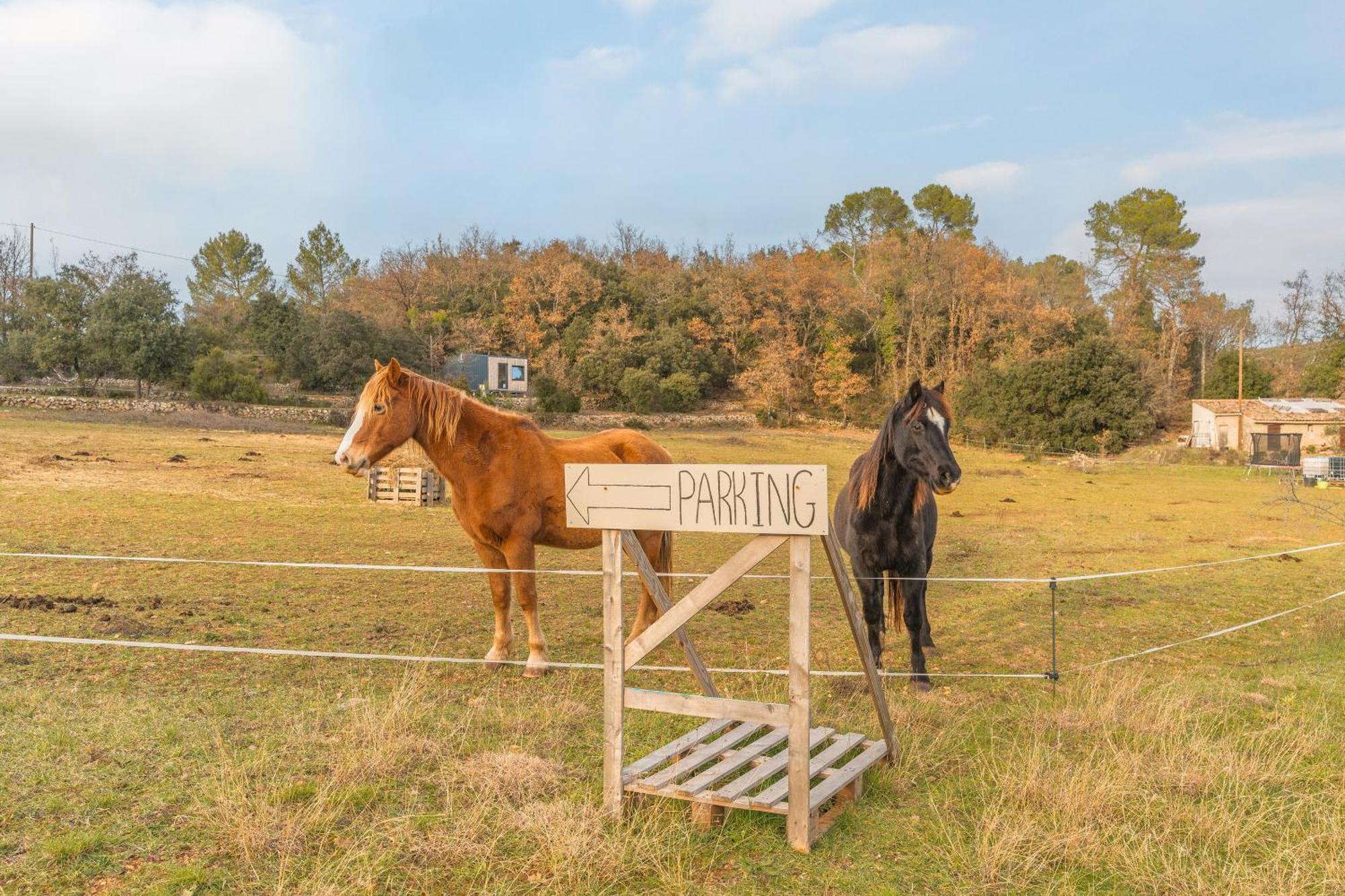 La Cabane Aux Chevaux Varages Ngoại thất bức ảnh